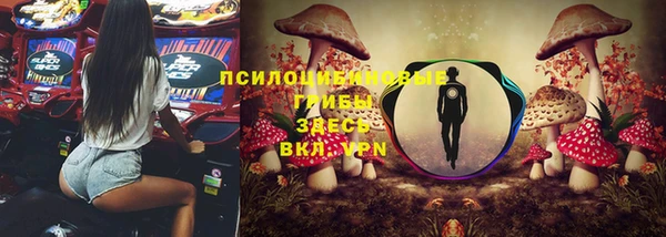хмурый Краснотурьинск
