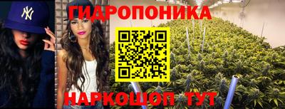 mix Кимры