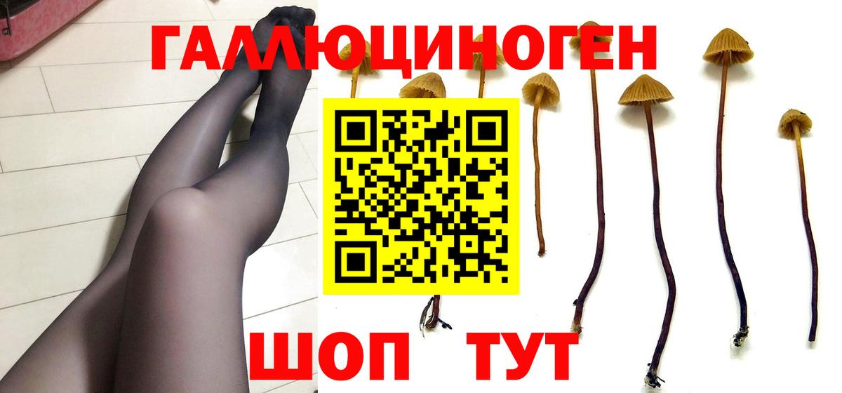 Якутск  Псилоцибиновые грибы Cubensis  Вход с VPN 